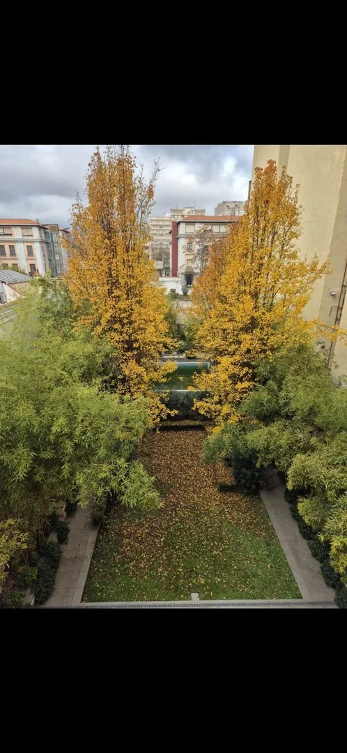 Estudio en calle de García de Paredes, 12