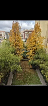 Estudio en calle de García de Paredes, 12 - Foto 1