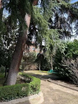 Piso en Barrio Bernabéu-Hispanoamérica - Foto 30