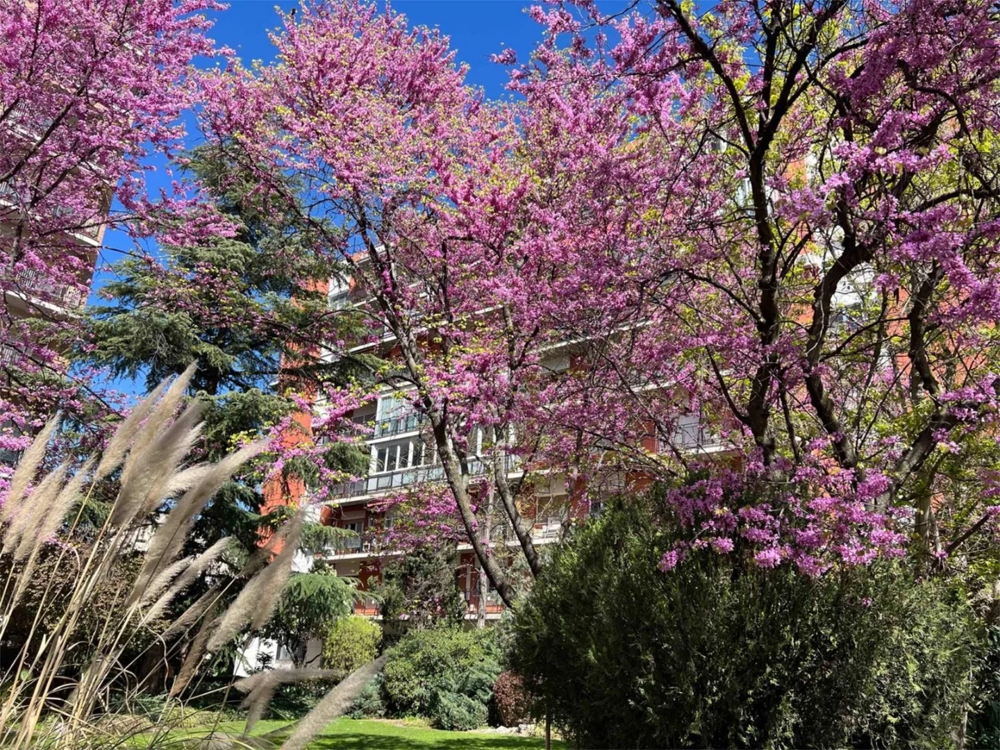 Piso en  Paseo de la Castellana 225