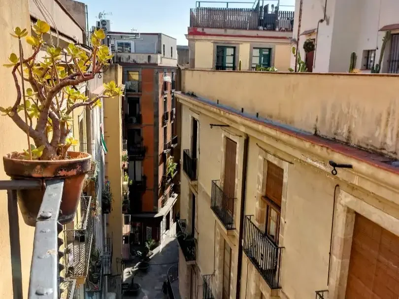 Piso en  Carrer del Call 28 - Foto 11