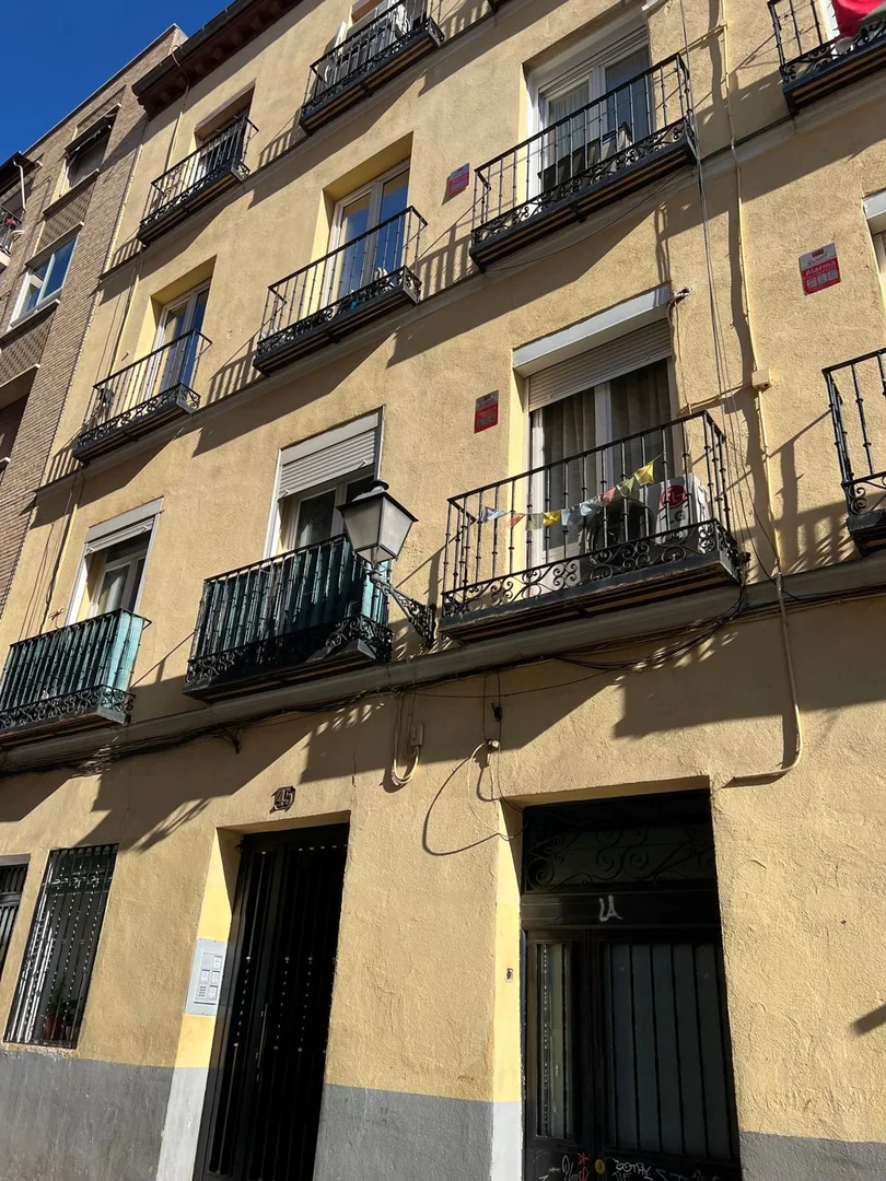 Piso en Calle de Zurita, 45, Lavapiés-Embajadores - Foto 6