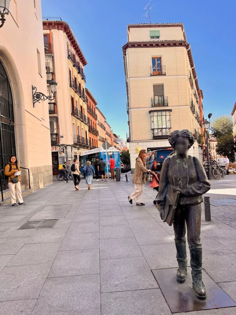 Piso en Calle del Barco, Malasaña-Universidad - Foto 10