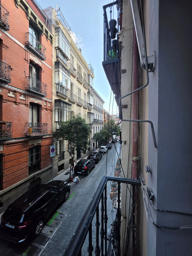 Piso en Lavapiés-Embajadores, Lavapiés-Embajadores - Foto 4