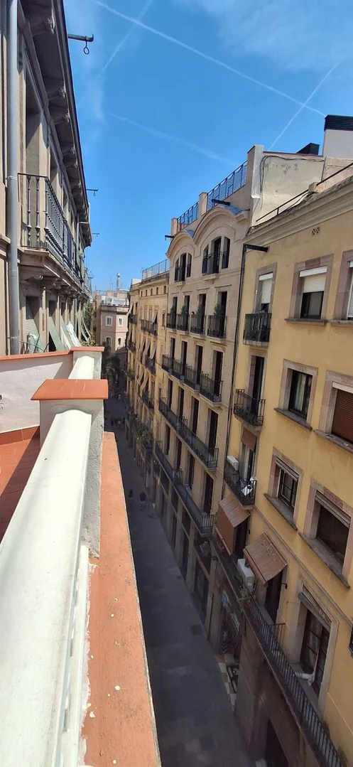 Ático en Calle dels Tallers, 50, El Raval - Foto 7