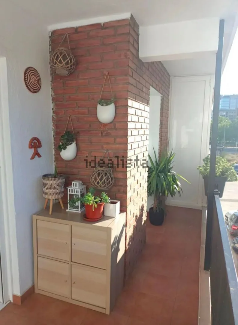 Estudio en Plaza de Puerto de la Cruz, 6, Pilar - Foto 2