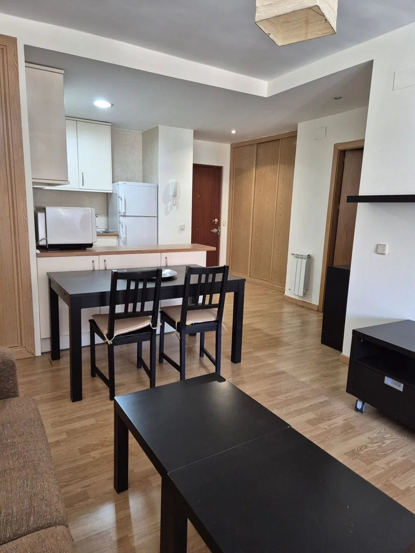 Estudio en Calle de Clara del Rey, 32, Prosperidad - Foto 7