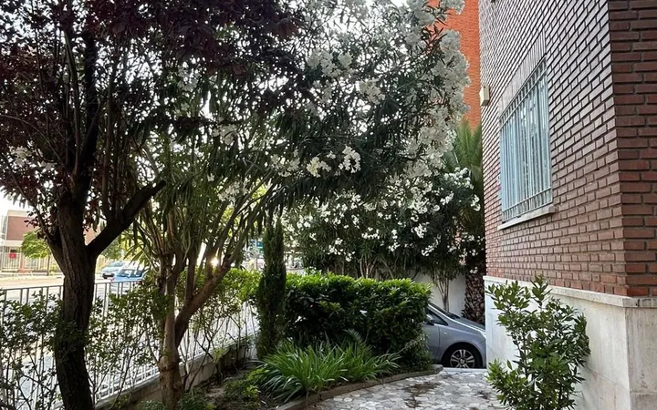 Piso en Avenida de Concha Espina, 59, El Viso - Foto 1