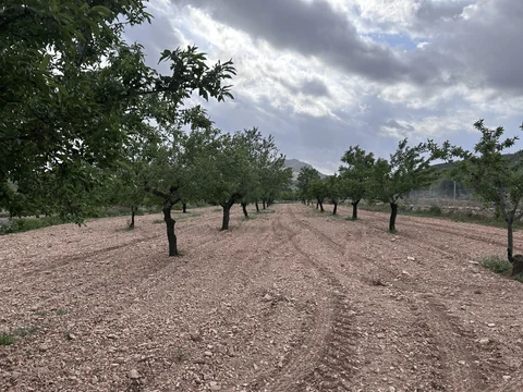 Finca rústica en Diseminado el Rebalso, 37 - Foto 19