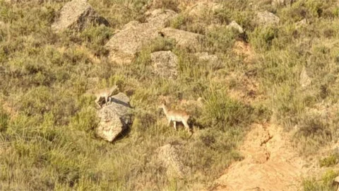 Estudio en Barrio de Salamanca - Foto 16