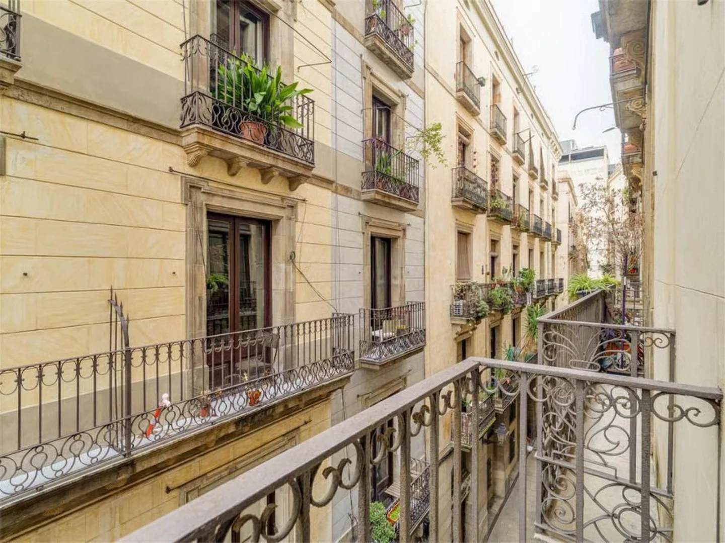 Apartamento en  Carrer de Calella 2 - Foto 7