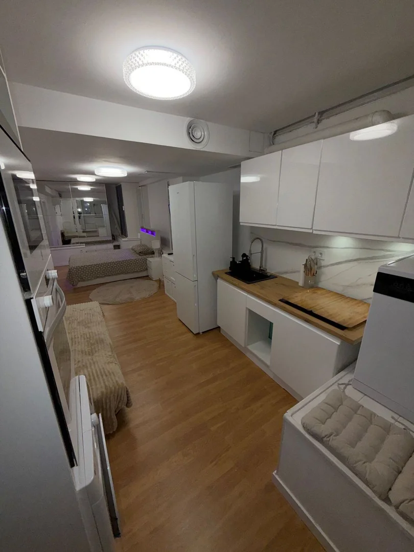 Estudio en calle del Néctar, 31 - Foto 7