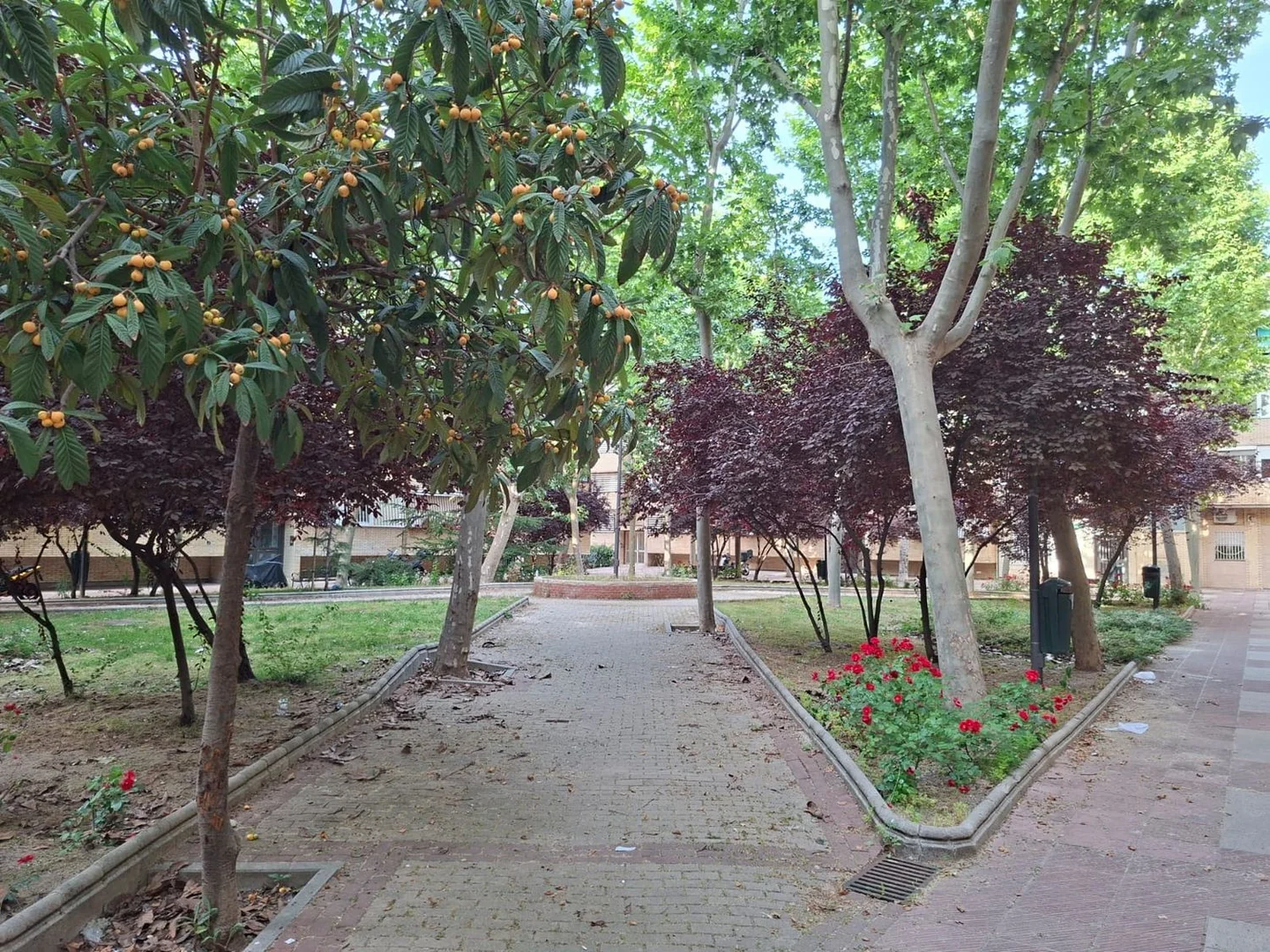 Piso en Plaza Movimiento Ciudadano, Orcasitas - Foto 22