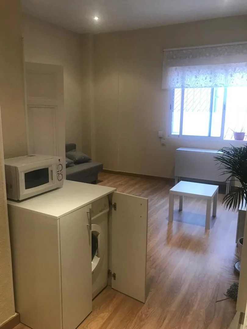 Estudio en Calle de Sánchez Barcáiztegui, Madrid, 39, Pacífico - Foto 4