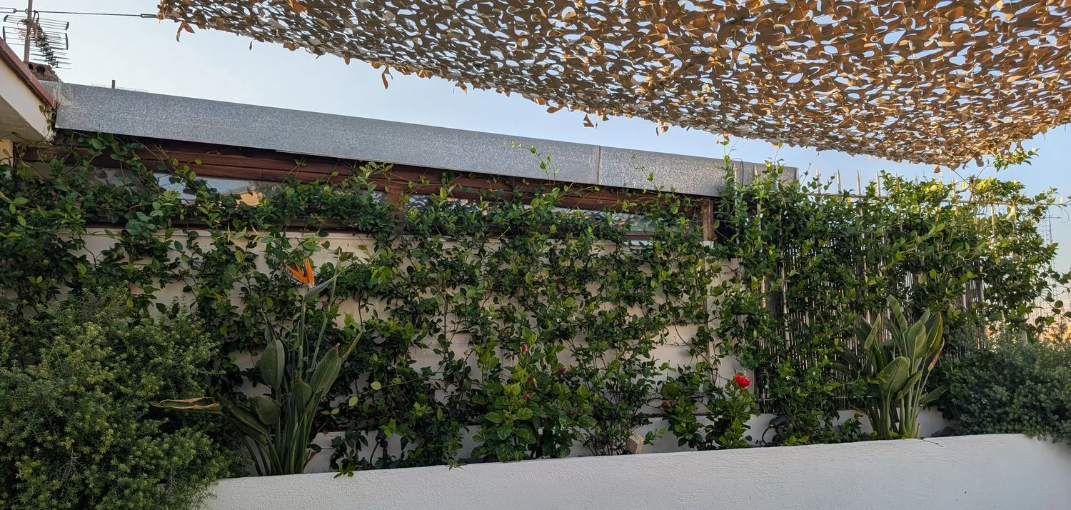 Ático en calle d'En Roig, 15 - Foto 3