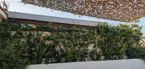 Ático en calle d'En Roig, 15 - Foto 3