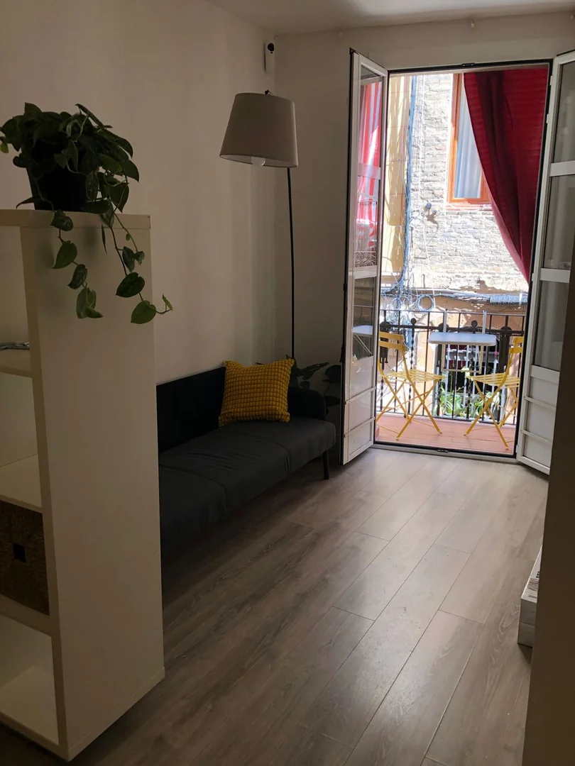 Estudio en Calle de la Cera, 22, El Raval - Foto 2