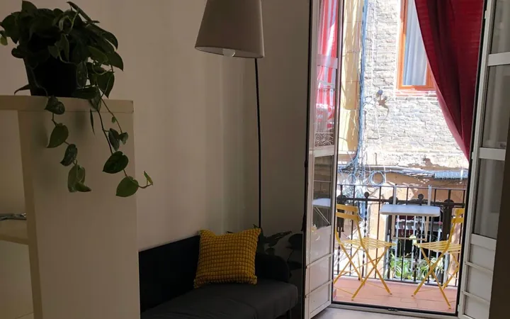 Estudio en Calle de la Cera, 22, El Raval - Foto 2