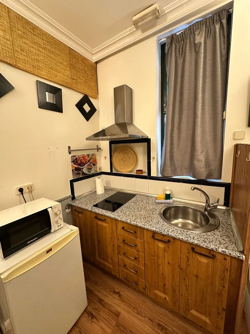 Estudio en Calle de San Buenaventura, 7, Palacio - Foto 5