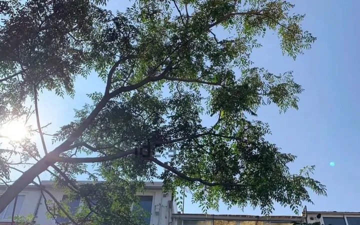 Piso en Calle de Calderón de la Barca, 27, El Carmel - Foto 10