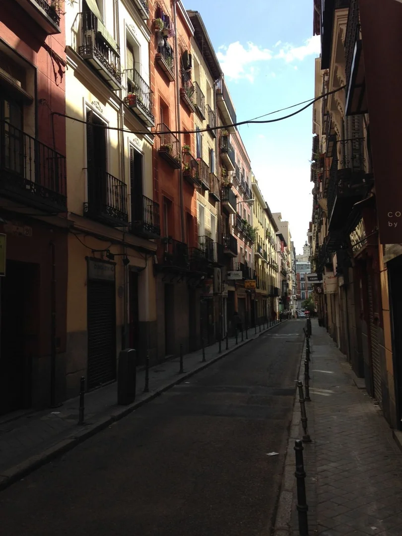 Piso en Calle de San Bartolomé, 16, Chueca-Justicia - Foto 17