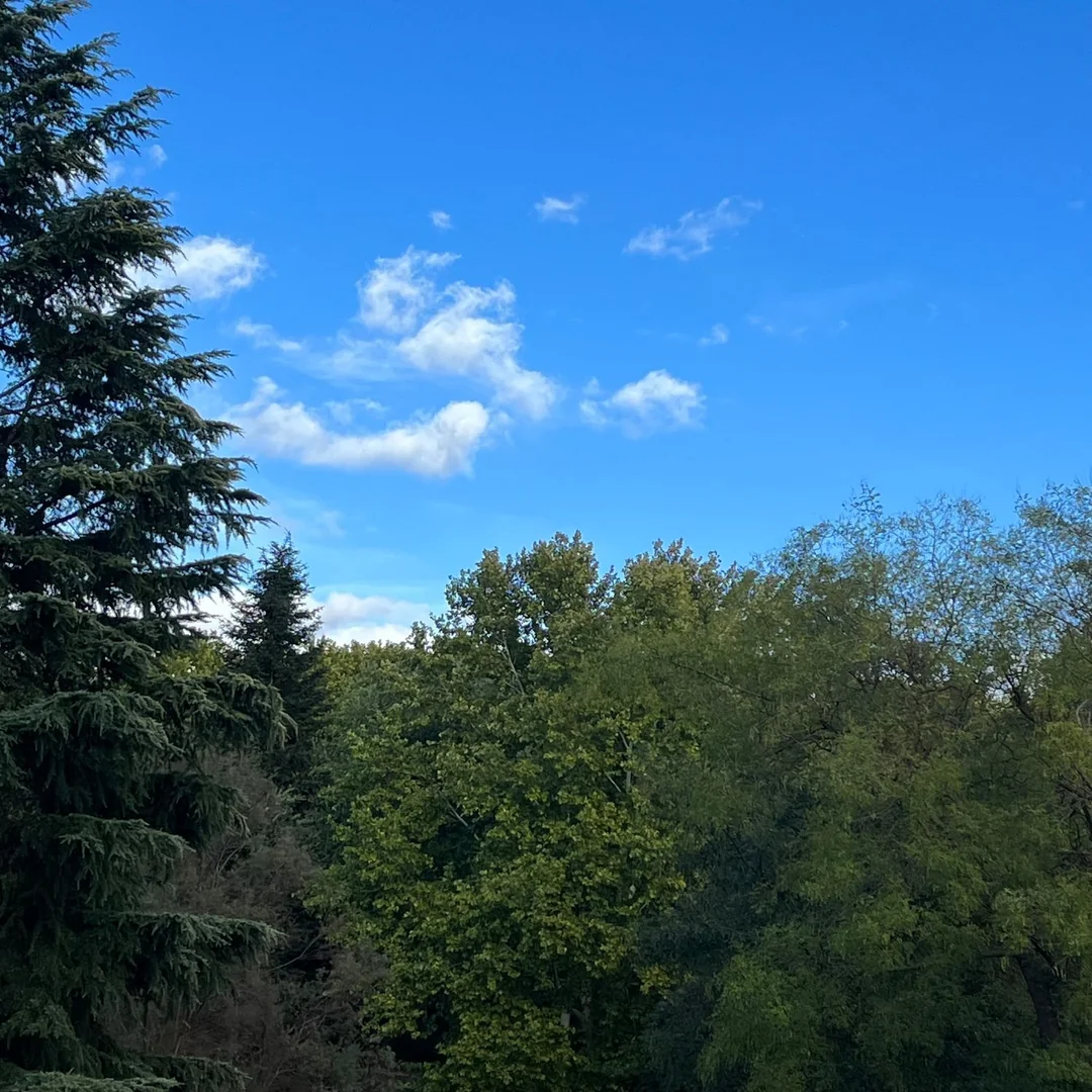 Piso en Avenida de Valladolid, 35 D, Casa de Campo - Foto 13