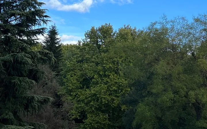 Piso en Avenida de Valladolid, 35 D, Casa de Campo - Foto 13