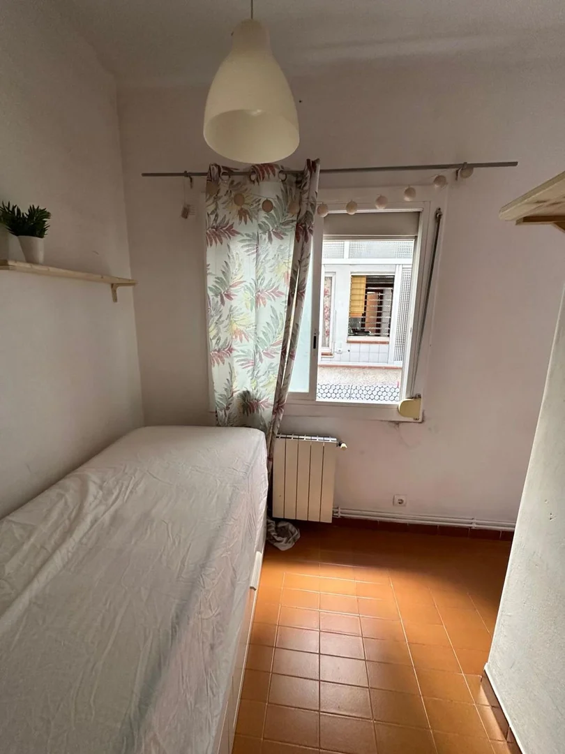 Estudio en calle de les Escoles, 8 - Foto 4