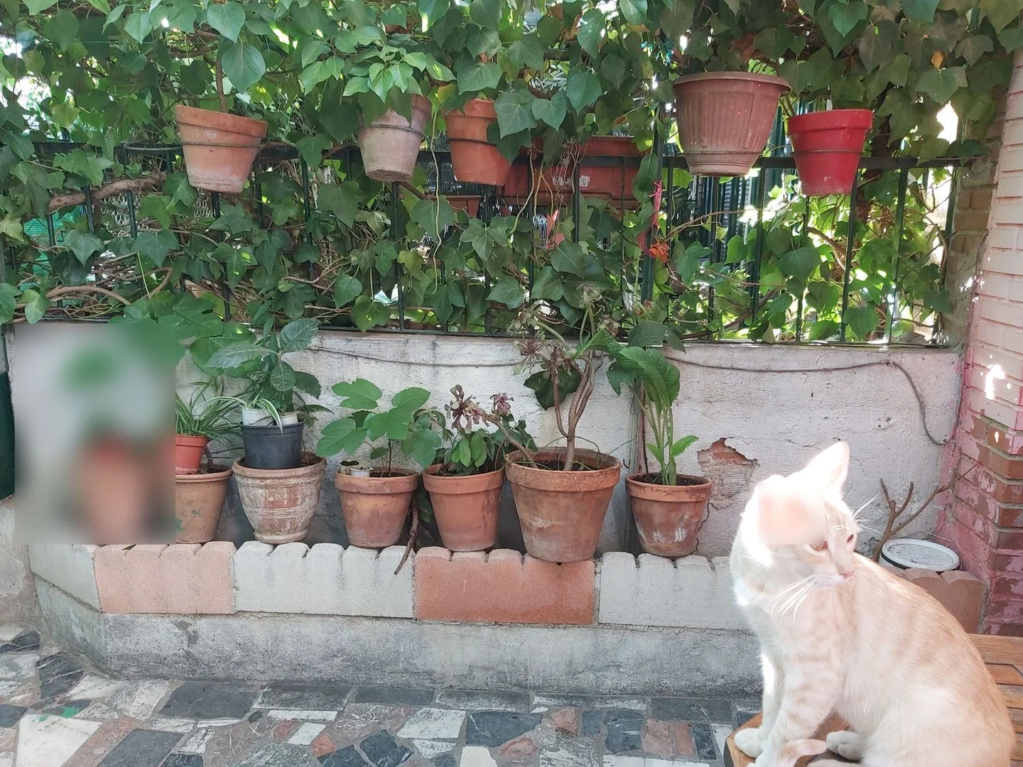 Chalet adosado en calle de Vélez Rubio, 81 - Foto 9