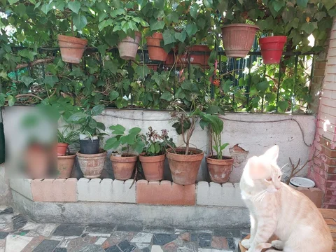 Chalet adosado en calle de Vélez Rubio, 81 - Foto 9