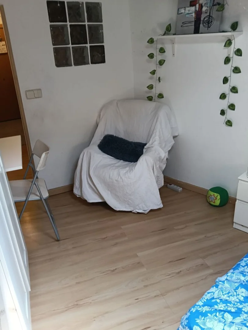 Estudio en Calle de los Jardines, 25, Sol - Foto 6