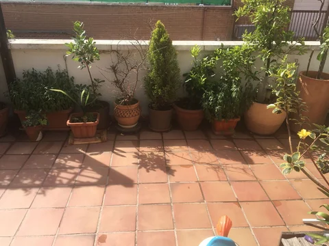 Ático en calle Francisca Conde, 3 - Foto 4