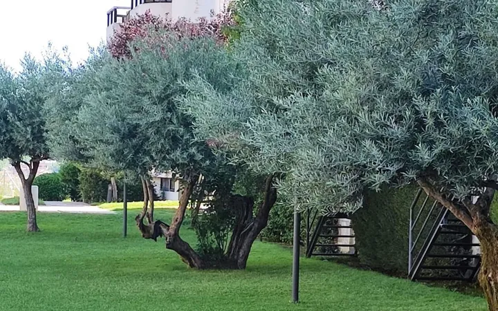 Piso en Avenida de Europa, 32, Aravaca - Foto 33