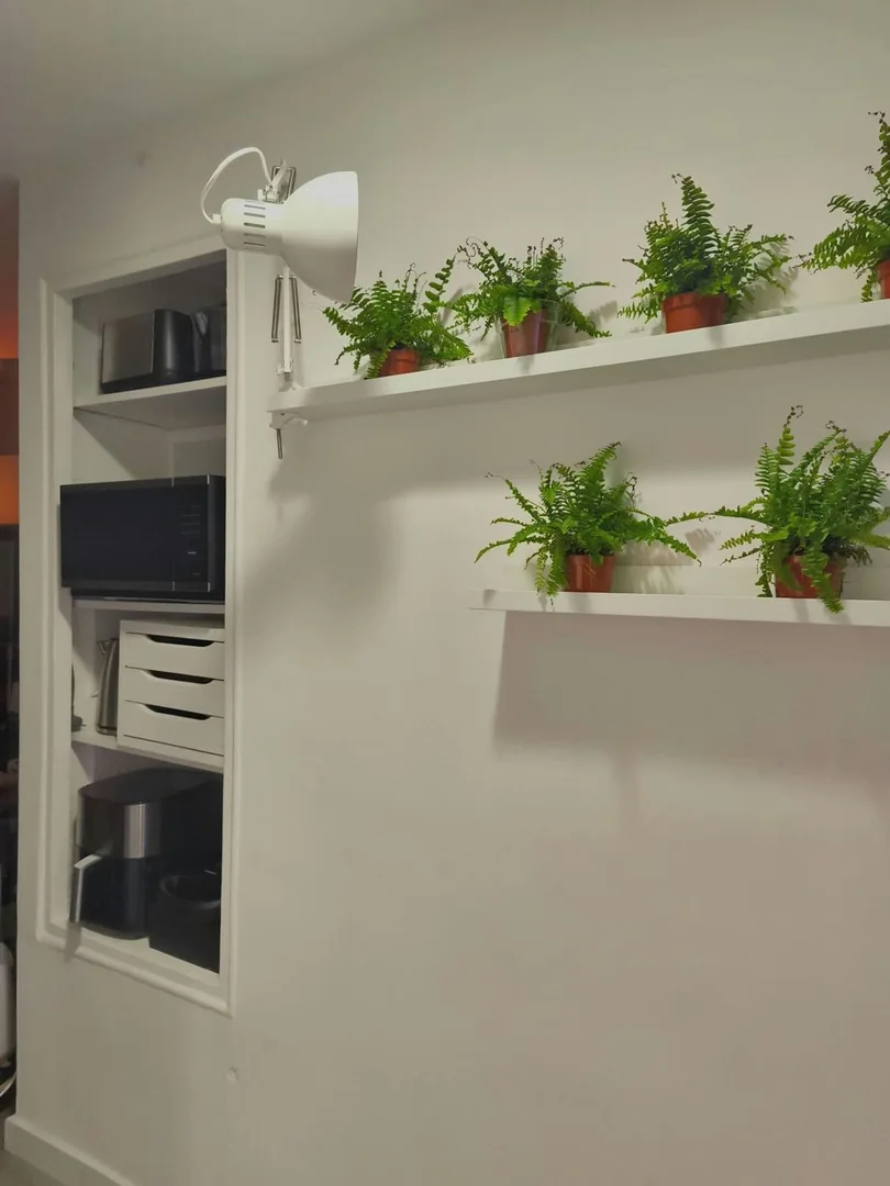 Estudio en Calle de Sugranyes, Sants - Badal - Foto 37