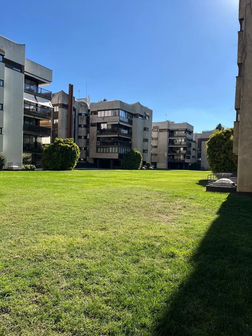 Piso en Calle de Agastia, 74, San Juan Bautista - Foto 5