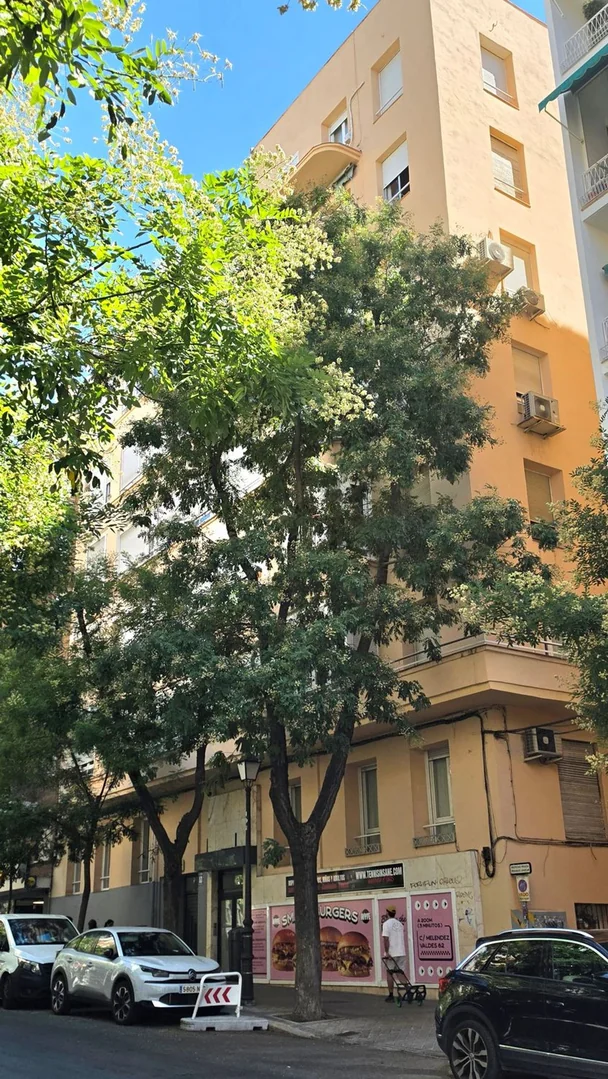 Piso en Calle de Guzmán el Bueno, 68, Gaztambide - Foto 21