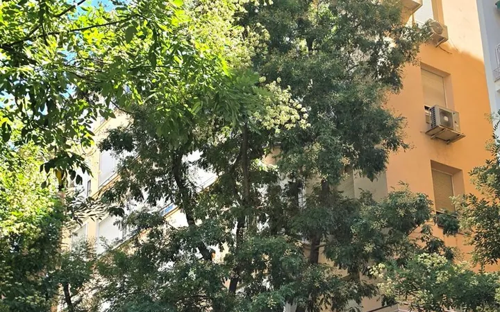 Piso en Calle de Guzmán el Bueno, 68, Gaztambide - Foto 21