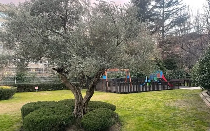 Piso en CL Magdalena Diaz, 20, Valdezarza - Foto 61