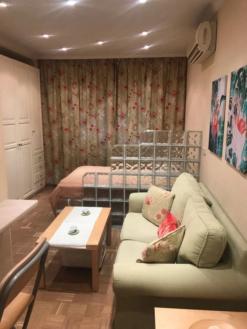 Estudio en calle de Vargas, 3 - Foto 7