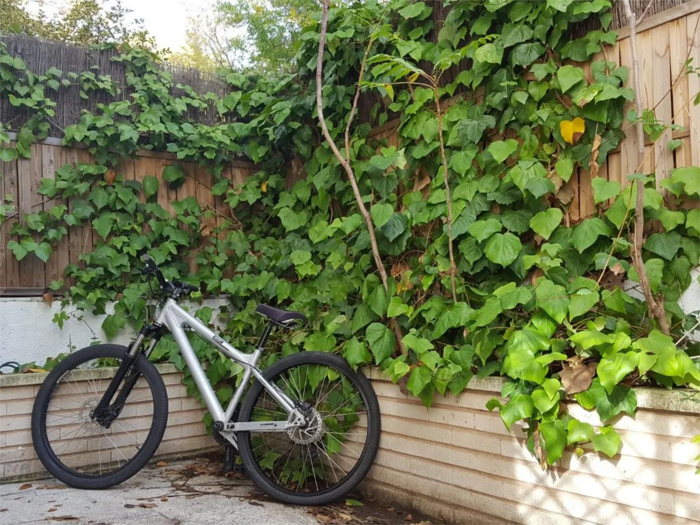 Piso en  Calle de Prieto Ureña 5 - Foto 14