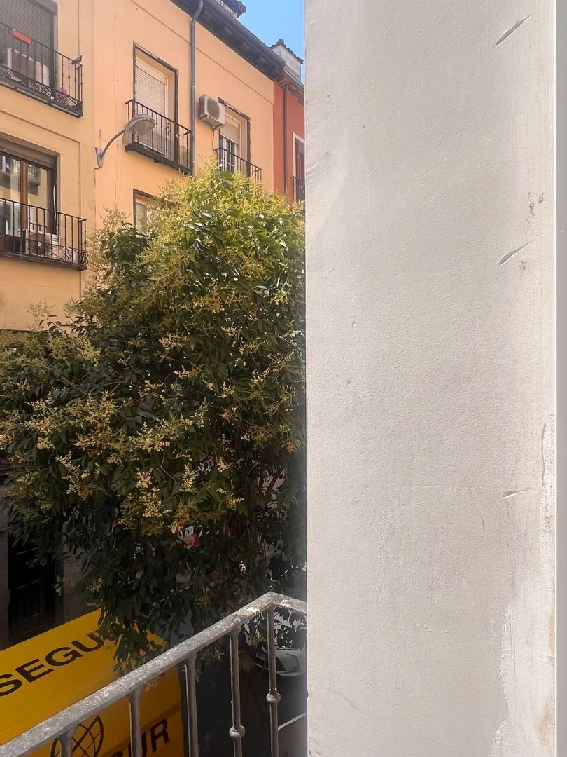 Piso en Calle de Hortaleza, 43, Chueca-Justicia - Foto 14