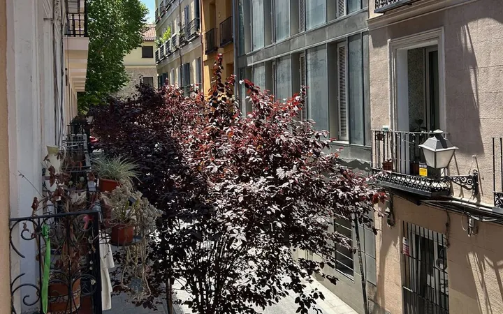 Piso en Calle del Marqués de Toca, 5 - Foto 2