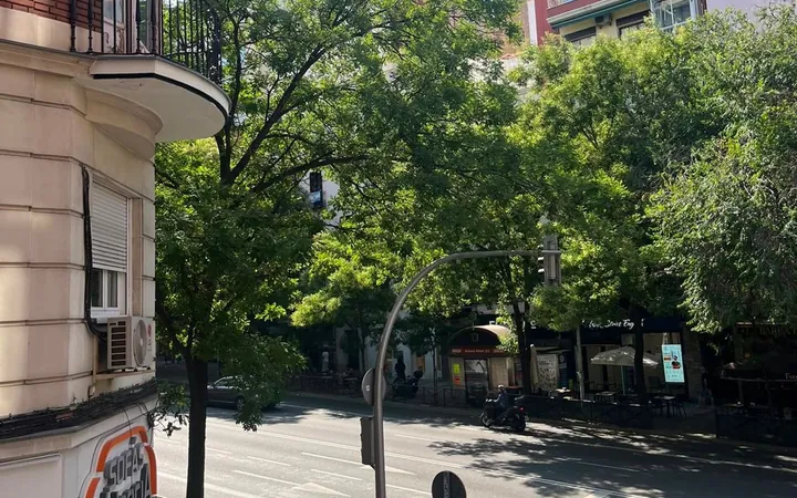 Piso en Calle del Maestro Alonso, 1, Fuente del Berro - Foto 6