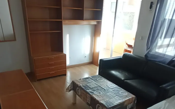 Estudio en Calle de Manuel Uribe, Atalaya - Foto 13