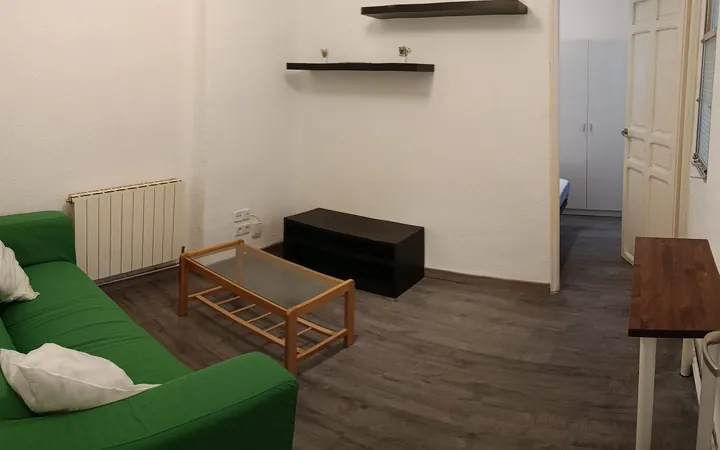 Piso en Calle Salitre, 46, Lavapiés-Embajadores - Foto 3