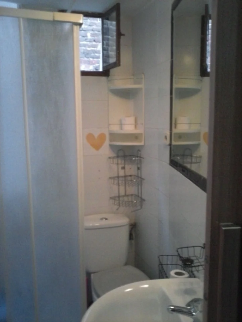 Estudio en Calle Buenavista, 44, Lavapiés-Embajadores - Foto 6