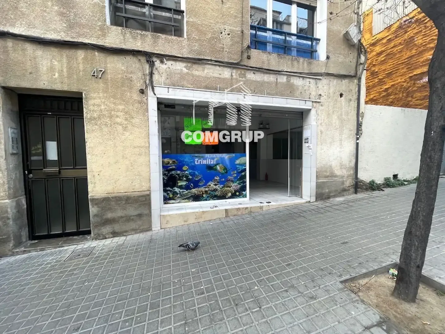 Local comercial en  TURO DE LA TRINITAT 45-47 - Foto 7