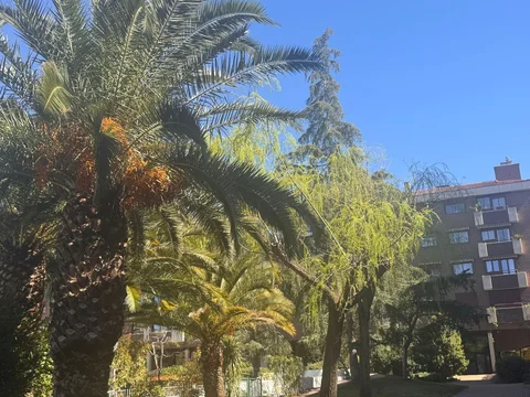 Piso en avenida del Ventisquero de la Condesa, 13 - Foto 31