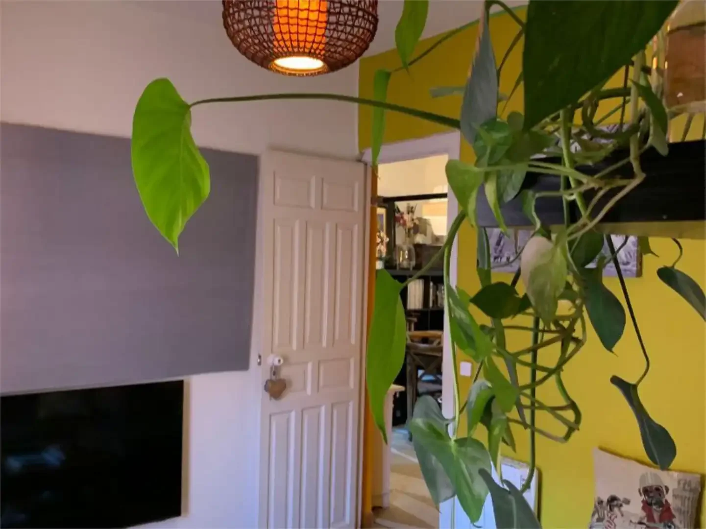 Piso en  Calle de Canillas 84 - Foto 4