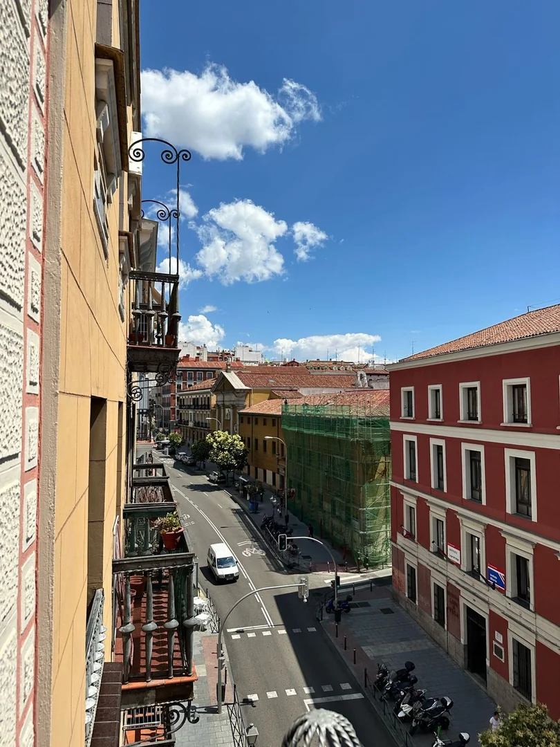 Piso en Calle de San Bernardo, 67, Malasaña-Universidad - Foto 18